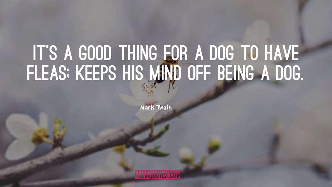 Fleas quotes by Mark Twain