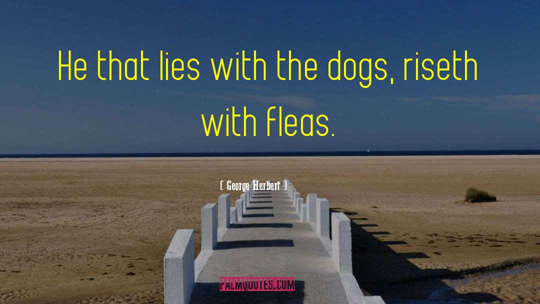 Fleas quotes by George Herbert