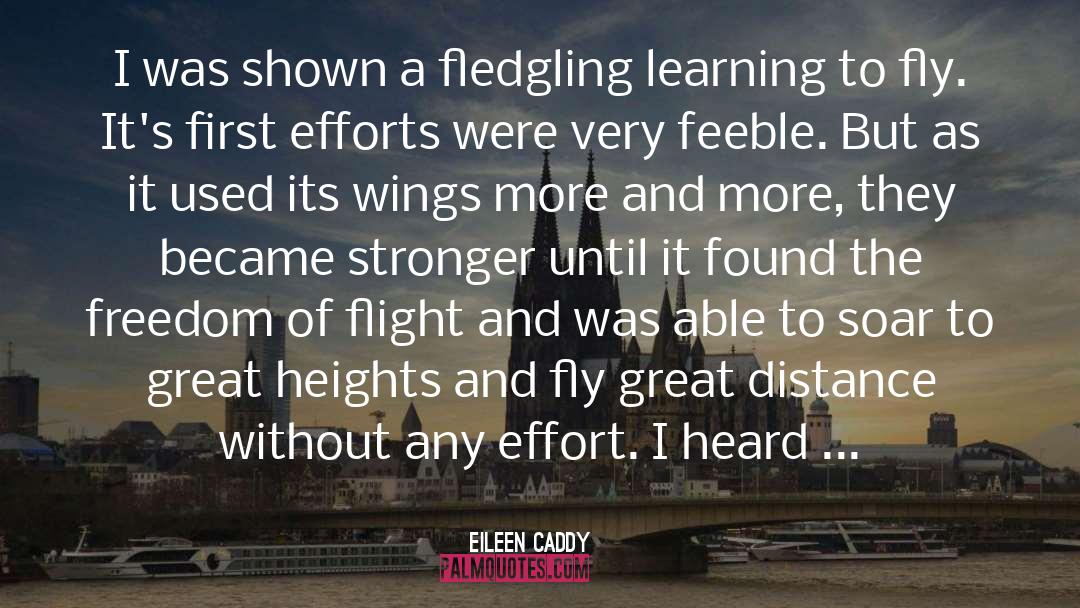 Fledgling quotes by Eileen Caddy