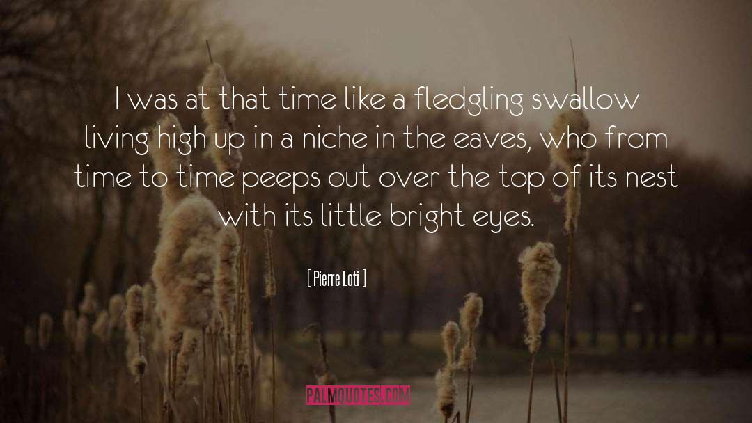 Fledgling quotes by Pierre Loti