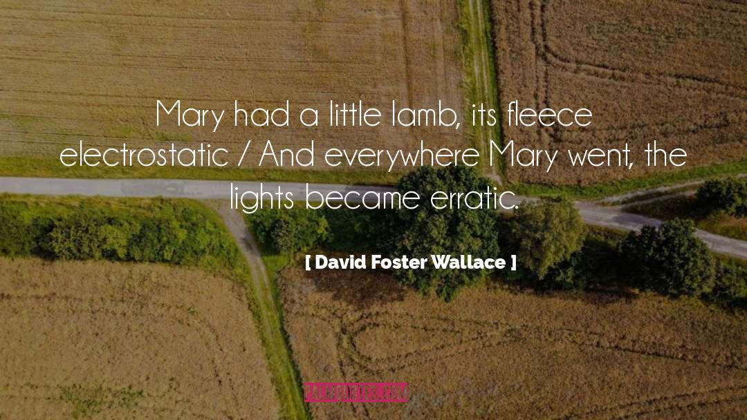 Fleece quotes by David Foster Wallace