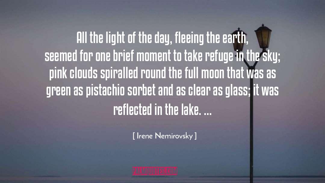 Fleeing quotes by Irene Nemirovsky