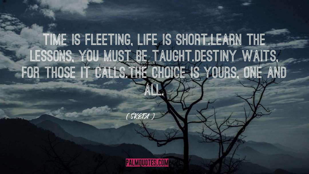 Fleeting Life quotes by SKETA