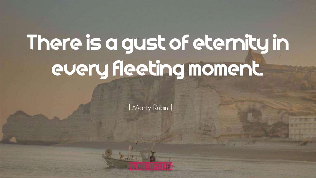 Fleeting Moment quotes by Marty Rubin