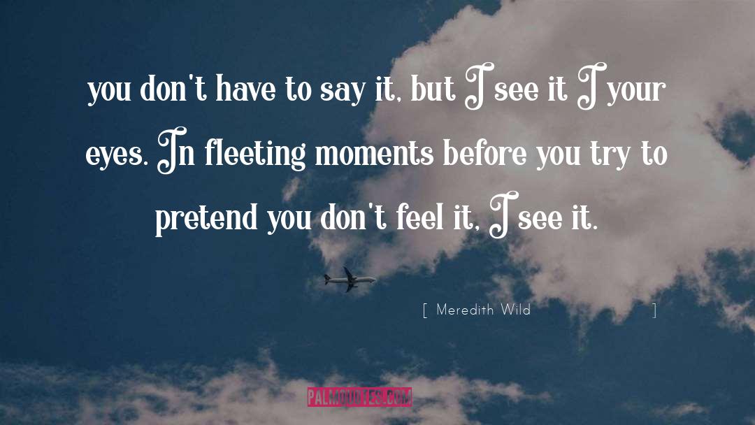 Fleeting Moments quotes by Meredith Wild