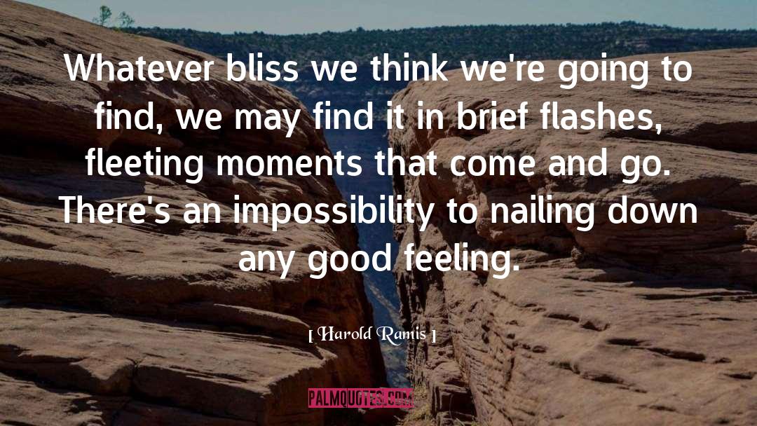 Fleeting Moments quotes by Harold Ramis