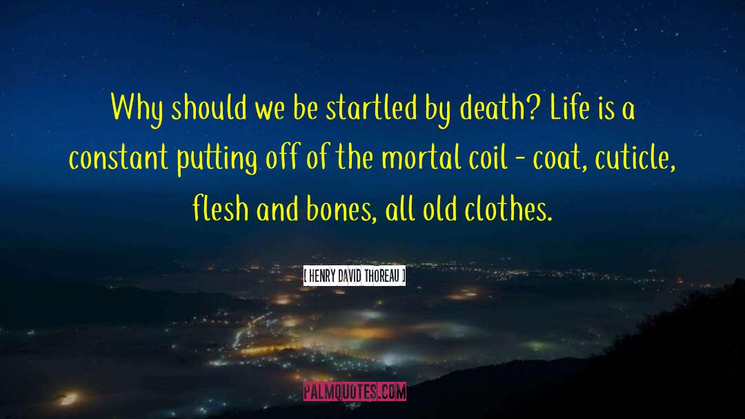 Flesh And Bones quotes by Henry David Thoreau