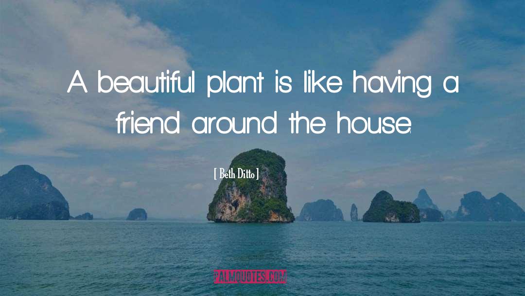Fleshiness Plant quotes by Beth Ditto