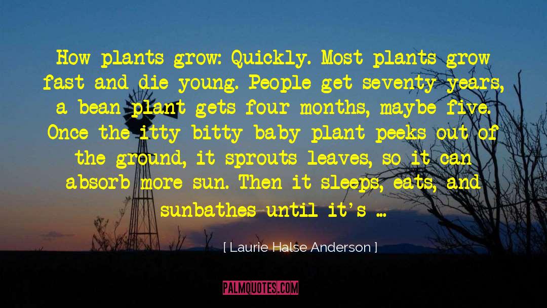 Fleshiness Plant quotes by Laurie Halse Anderson