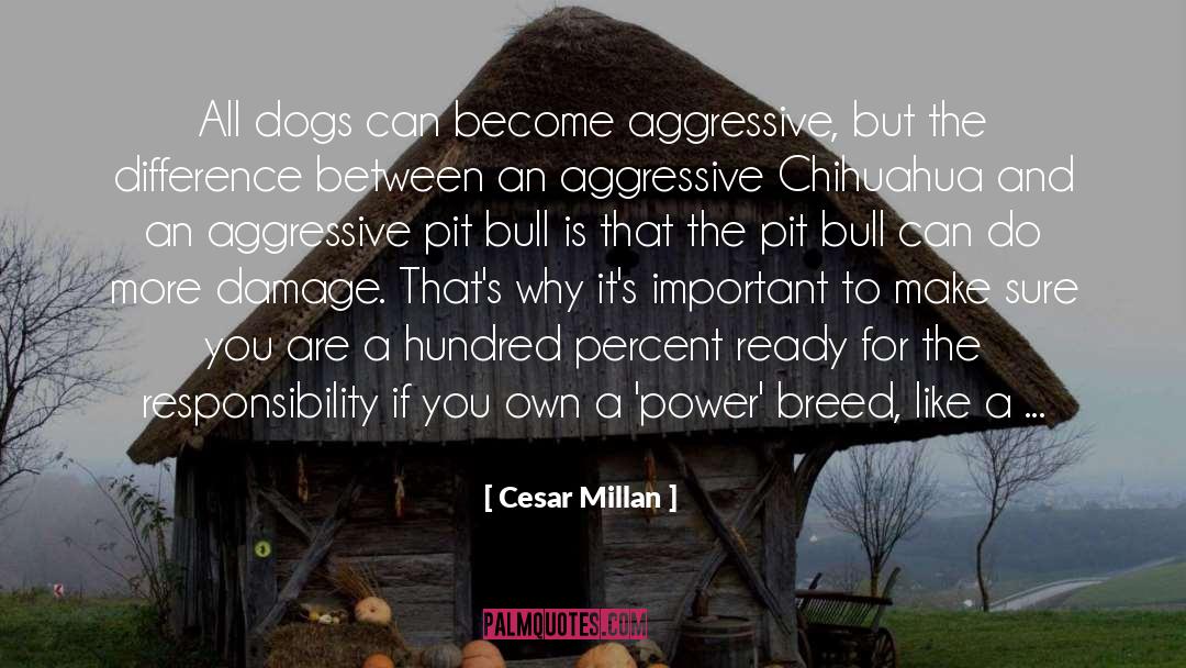 Fletes Chihuahua quotes by Cesar Millan