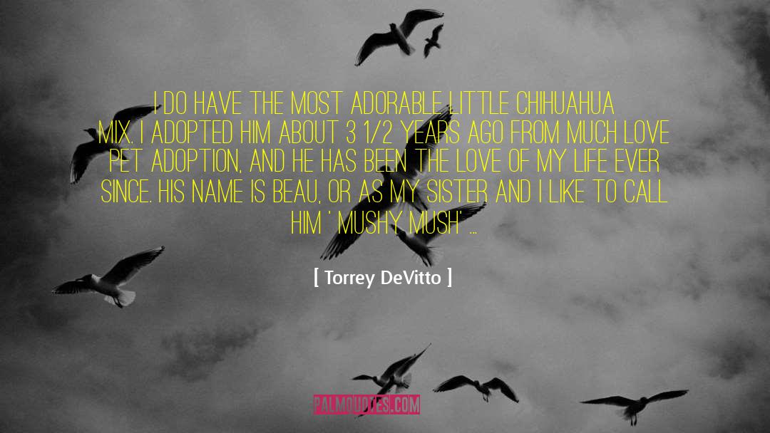 Fletes Chihuahua quotes by Torrey DeVitto