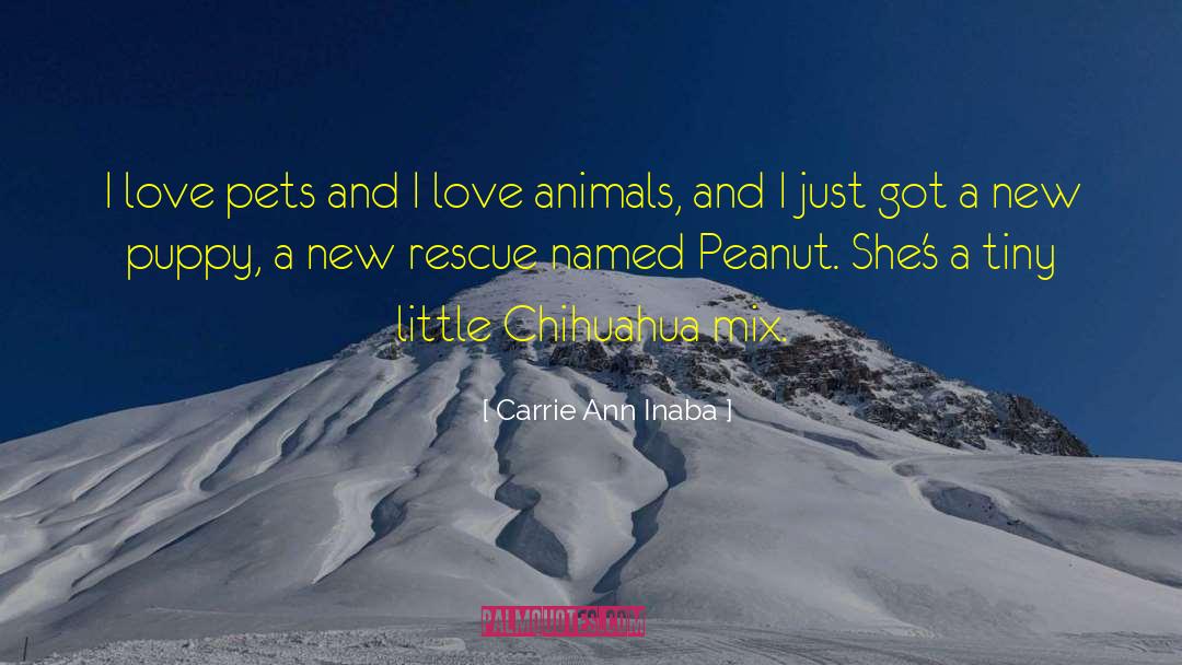 Fletes Chihuahua quotes by Carrie Ann Inaba