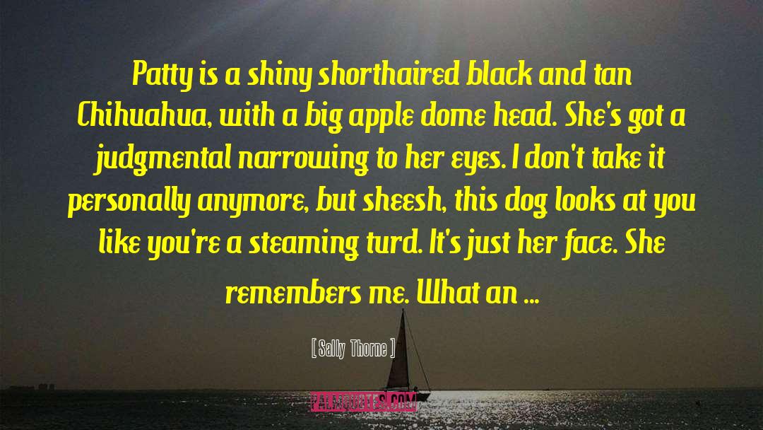 Fletes Chihuahua quotes by Sally  Thorne