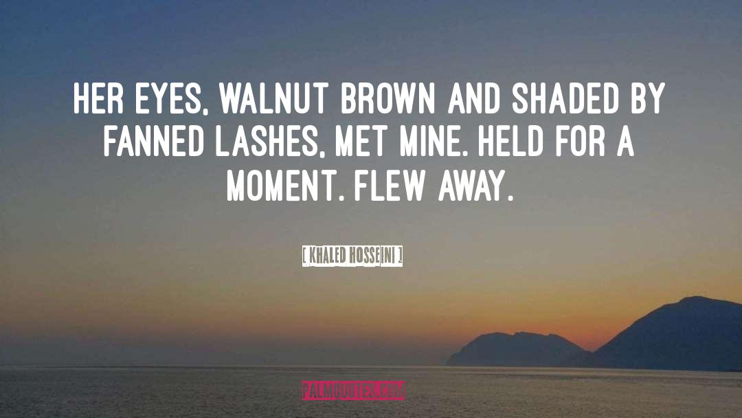 Flew quotes by Khaled Hosseini