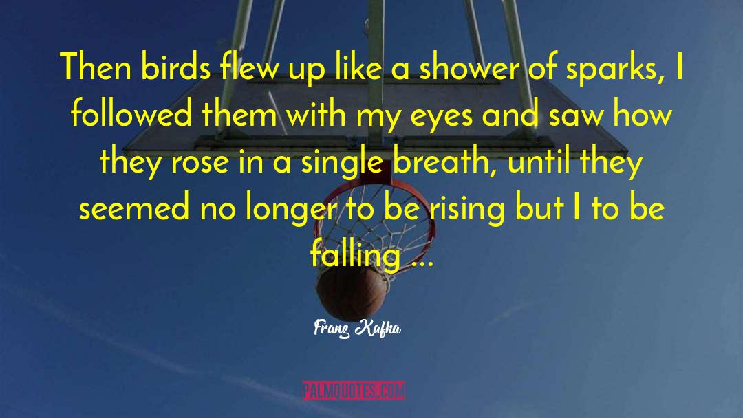 Flew Up quotes by Franz Kafka