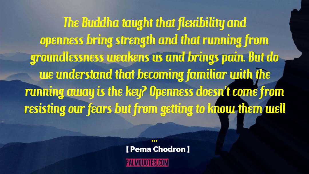 Flexibility quotes by Pema Chodron
