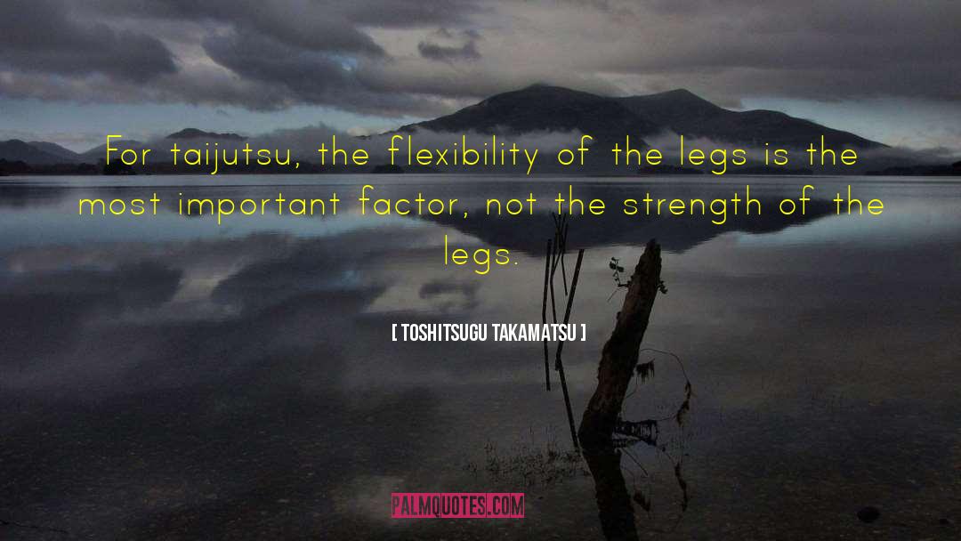 Flexibility quotes by Toshitsugu Takamatsu