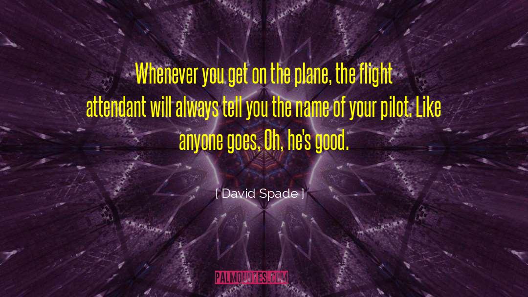 Flight Attendant Graduation quotes by David Spade
