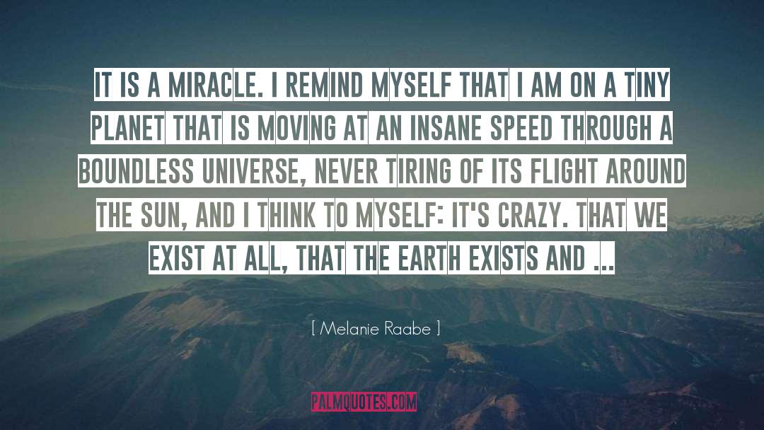 Flight Attendant quotes by Melanie Raabe