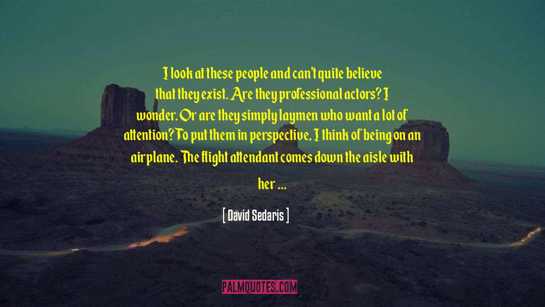 Flight Attendant quotes by David Sedaris