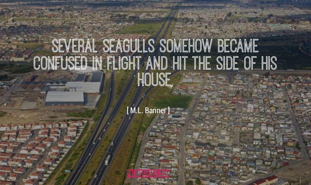 Flight quotes by M.L. Banner