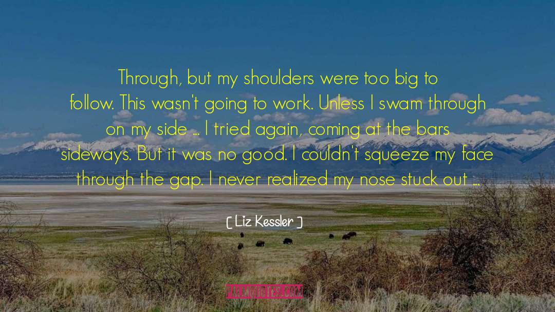 Flip Flops quotes by Liz Kessler