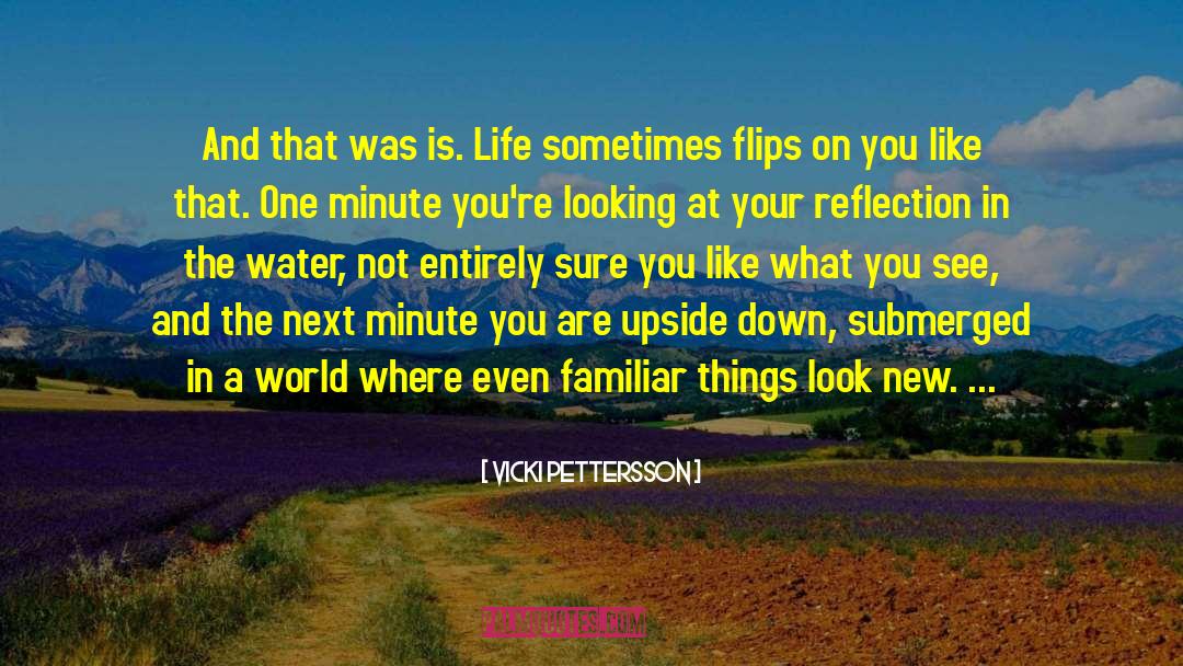Flips quotes by Vicki Pettersson