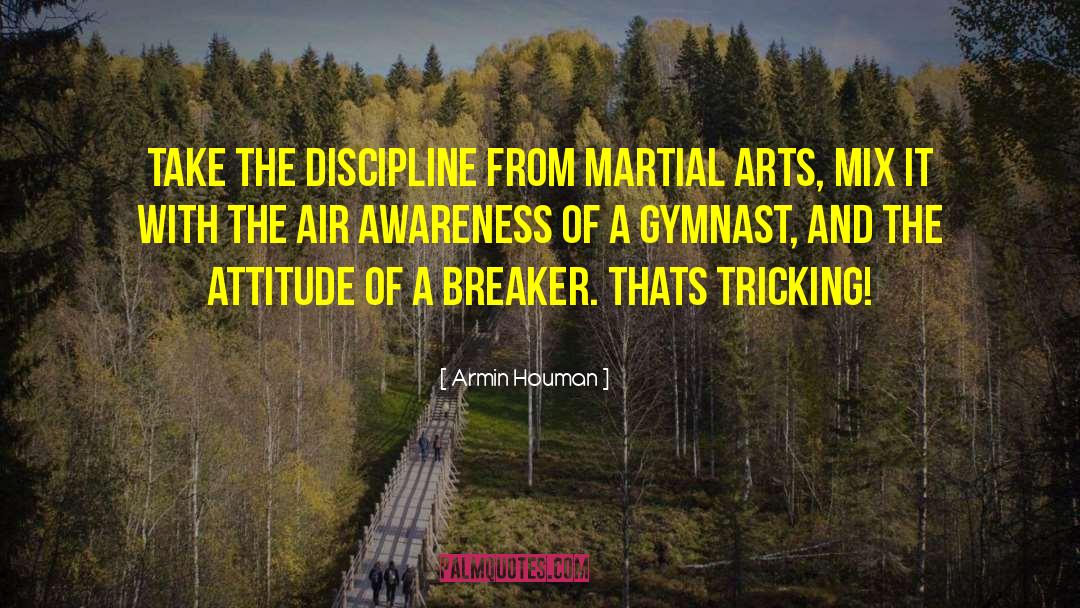 Flipsters Gymnastics quotes by Armin Houman