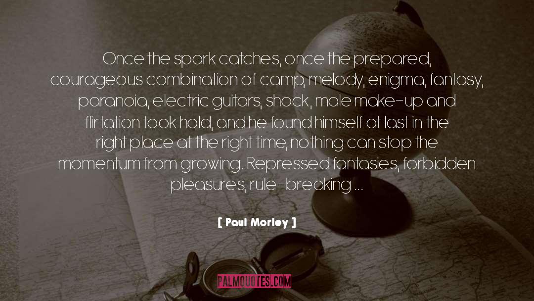 Flirtation quotes by Paul Morley