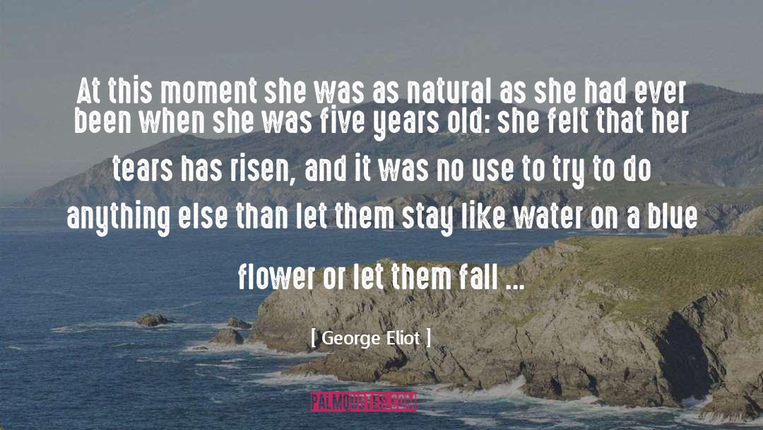 Flirtation quotes by George Eliot