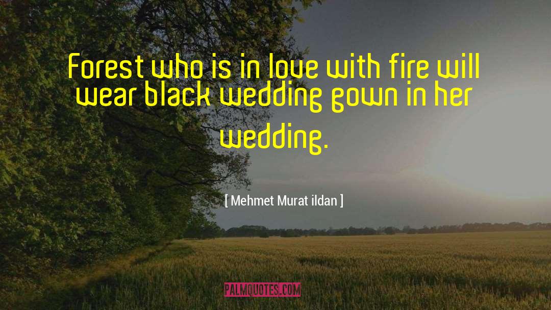 Flirting With Fire quotes by Mehmet Murat Ildan