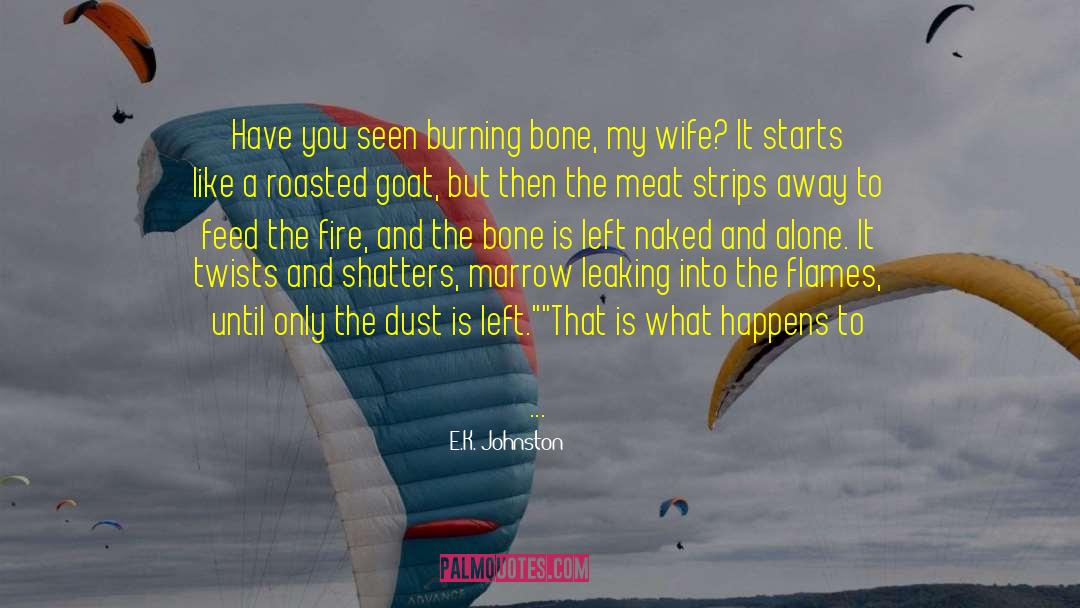 Flirty Wife quotes by E.K. Johnston