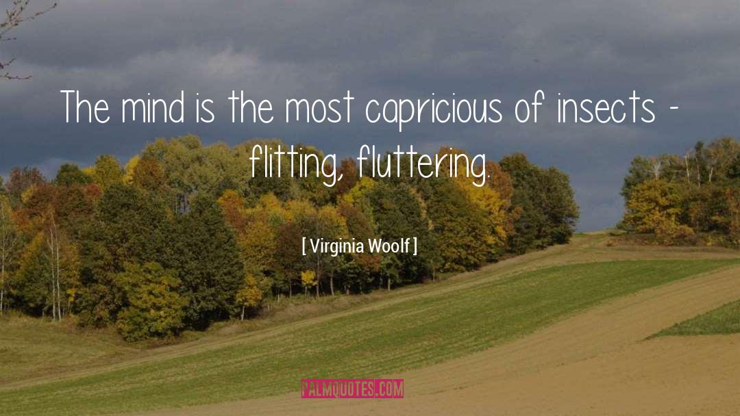 Flitting quotes by Virginia Woolf