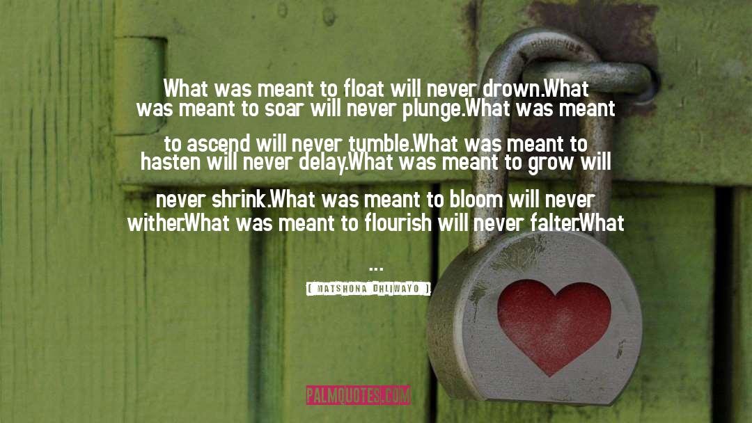 Float quotes by Matshona Dhliwayo