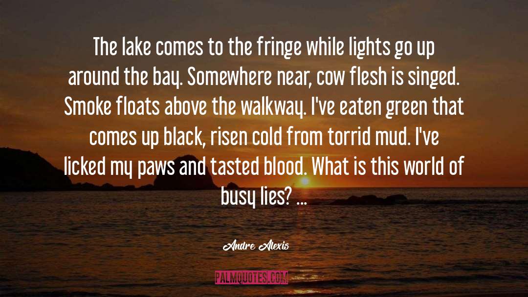 Floats quotes by Andre Alexis