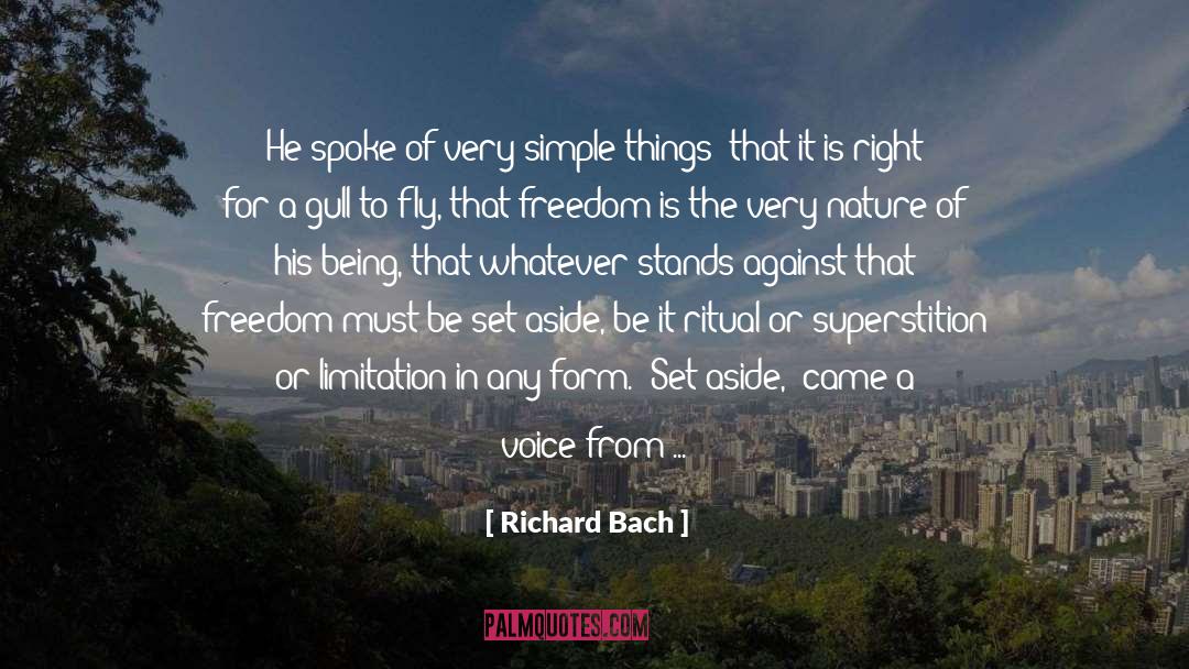 Flock quotes by Richard Bach