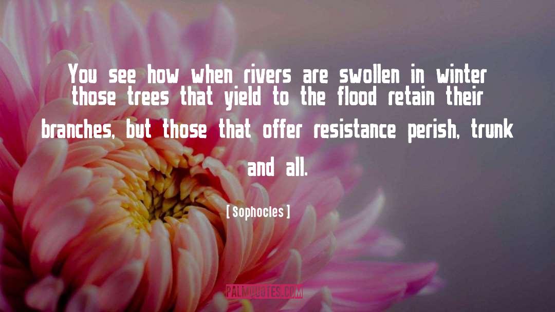 Flood Disaster quotes by Sophocles
