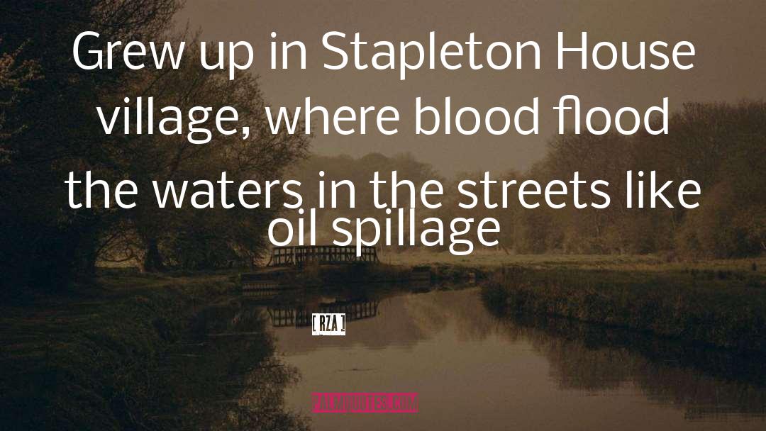 Flood quotes by RZA