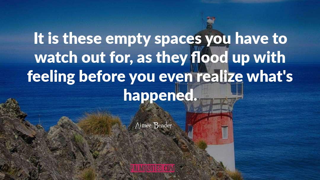 Flood quotes by Aimee Bender