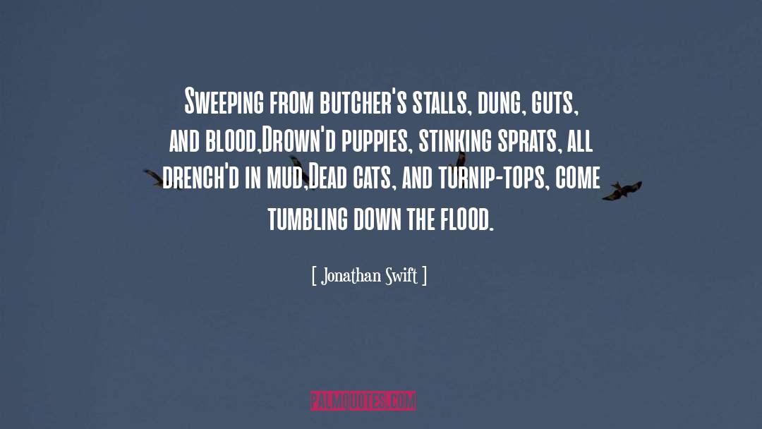 Flood quotes by Jonathan Swift