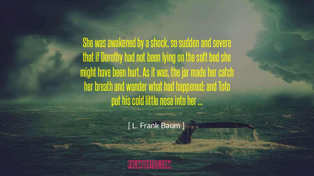 Flooding quotes by L. Frank Baum