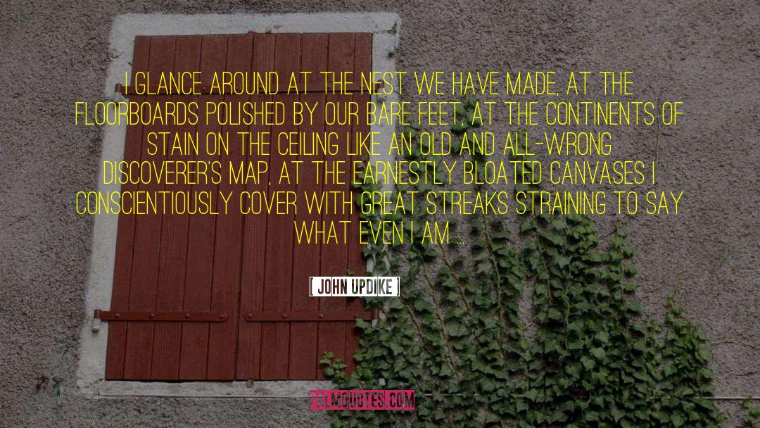 Floorboards quotes by John Updike