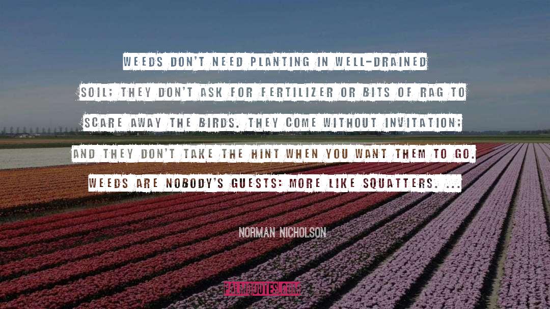 Floral Welcome Of Guests quotes by Norman Nicholson