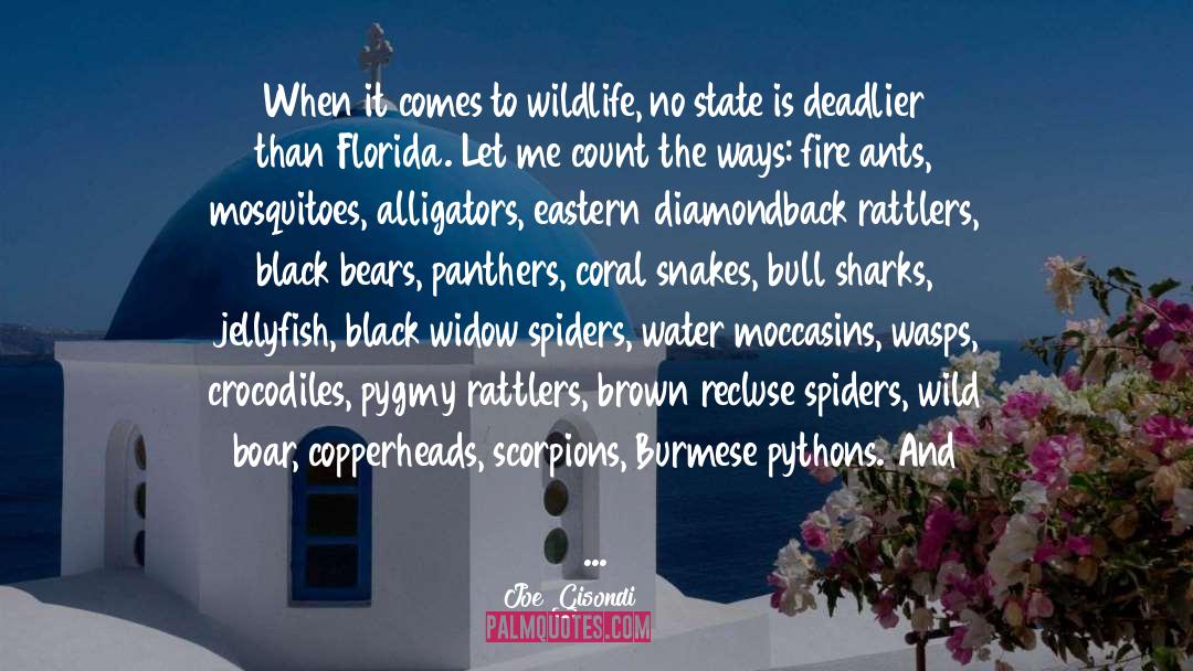 Florida quotes by Joe Gisondi