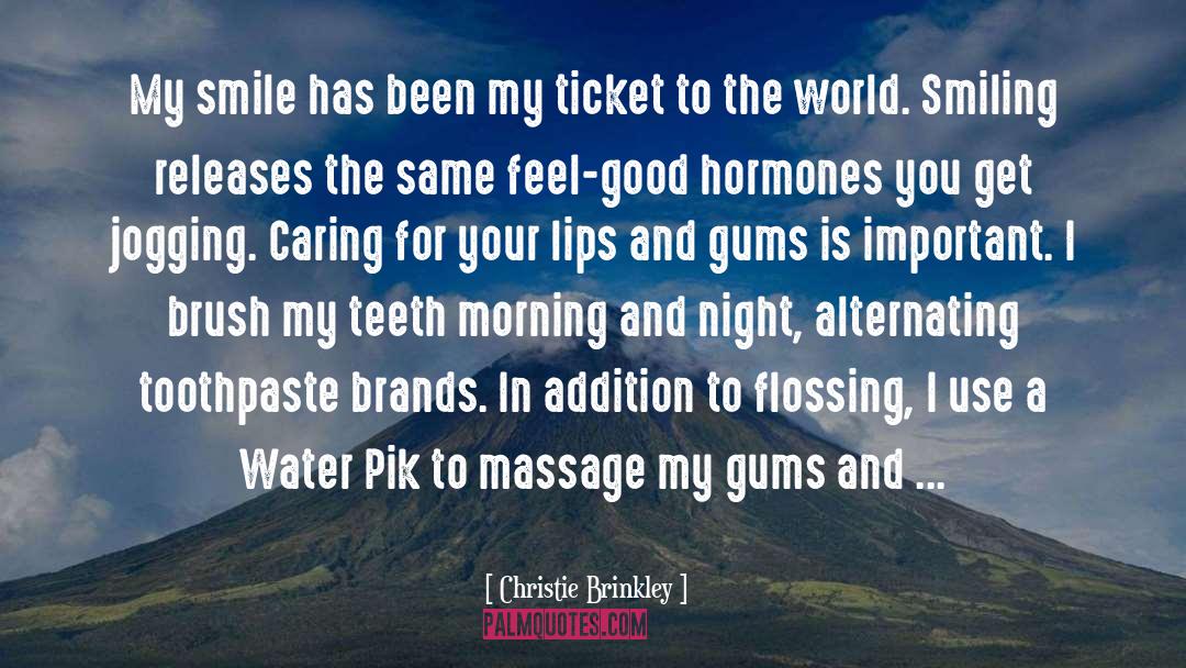 Flossing quotes by Christie Brinkley