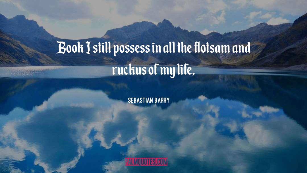 Flotsam quotes by Sebastian Barry