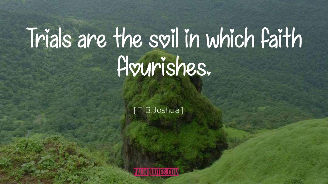 Flourishes quotes by T. B. Joshua