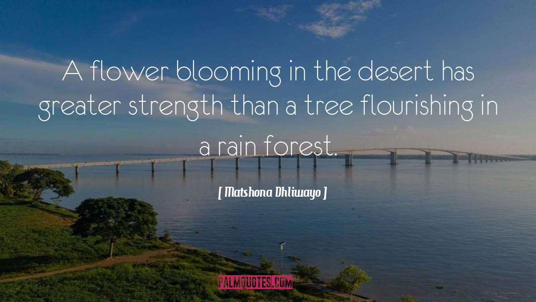 Flourishing quotes by Matshona Dhliwayo