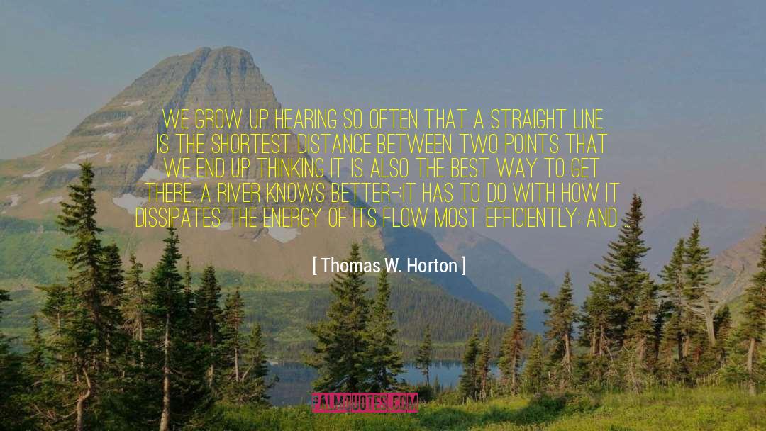 Flow Of Energy quotes by Thomas W. Horton