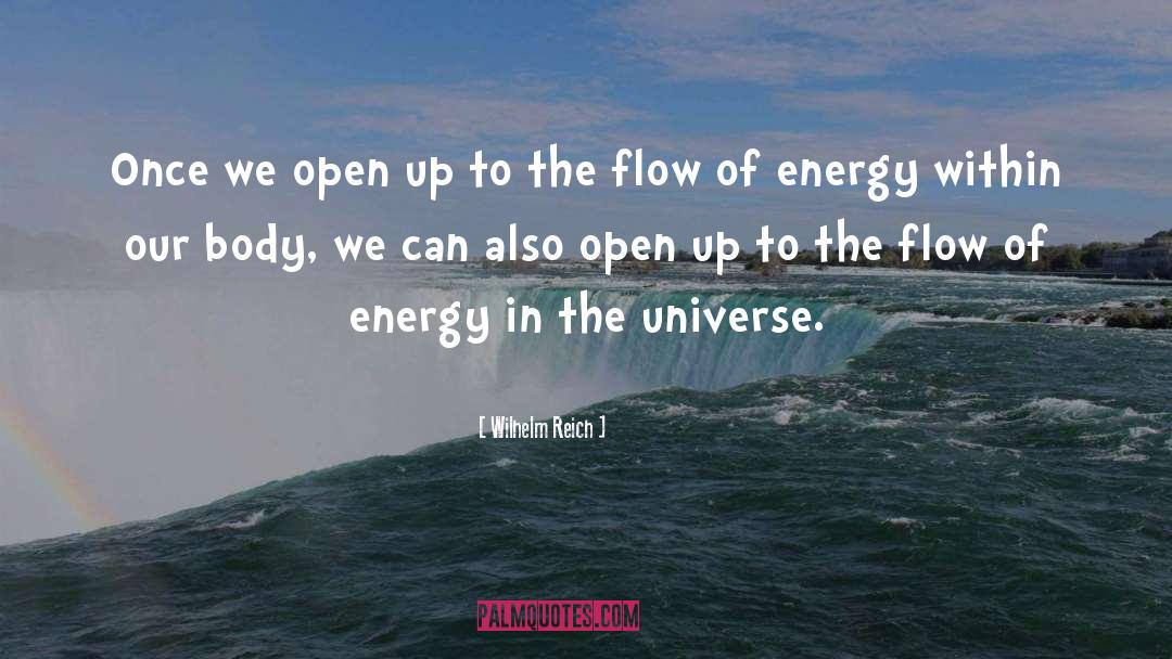 Flow Of Energy quotes by Wilhelm Reich